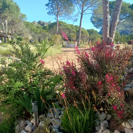 Mourezeva * Mourèze