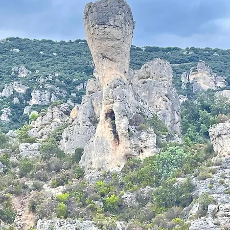 Mourezeva