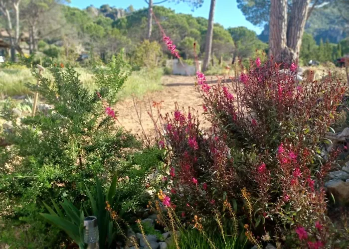 Mourezeva * Mourèze